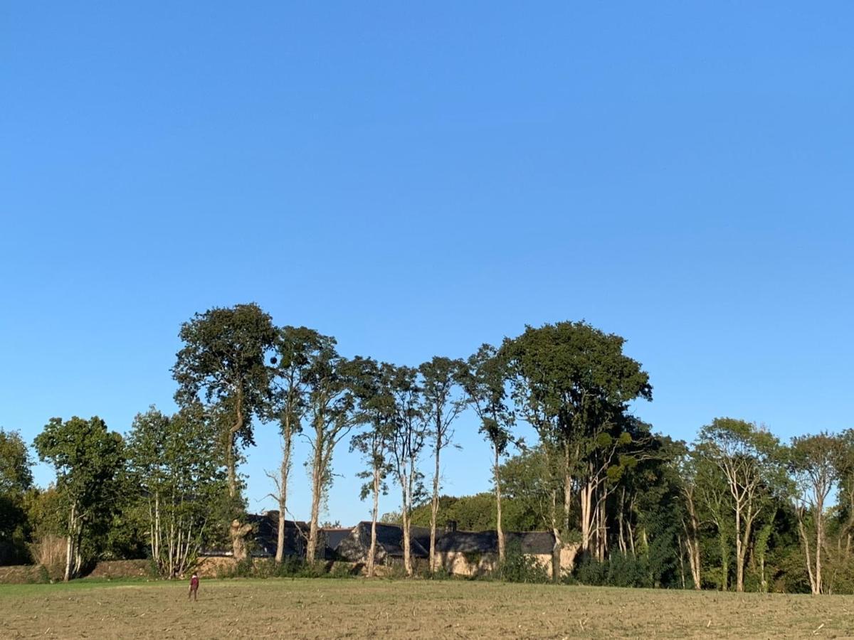 Jolie Metairie D'Une Seigneurie Bretonne. Peaule Buitenkant foto